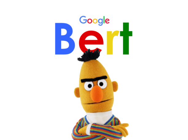 The BERT